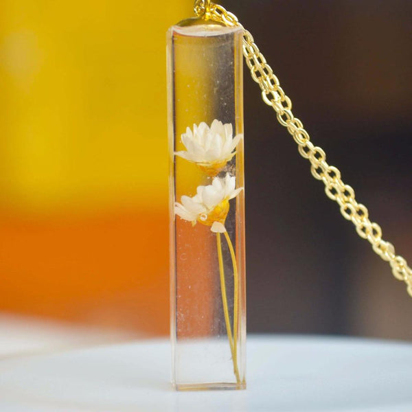 Daisy Ivory Real Flower Transparent Gold Color