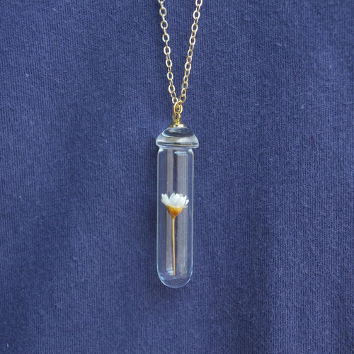 Daisy Ivory Real Flower Transparent Necklace